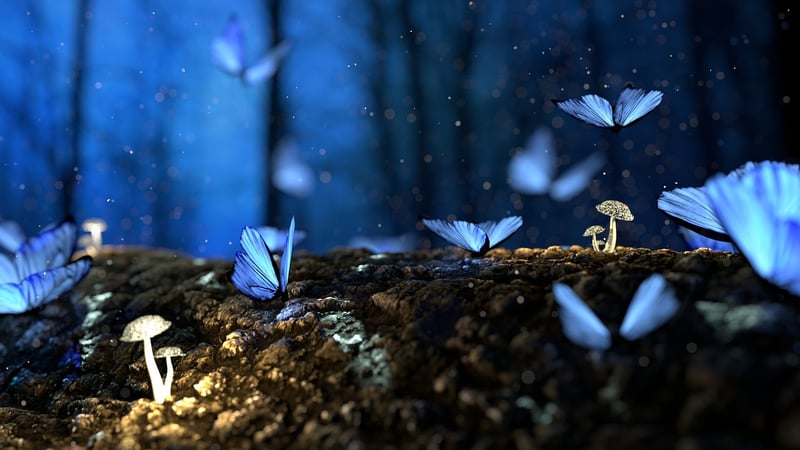Mystical Woods